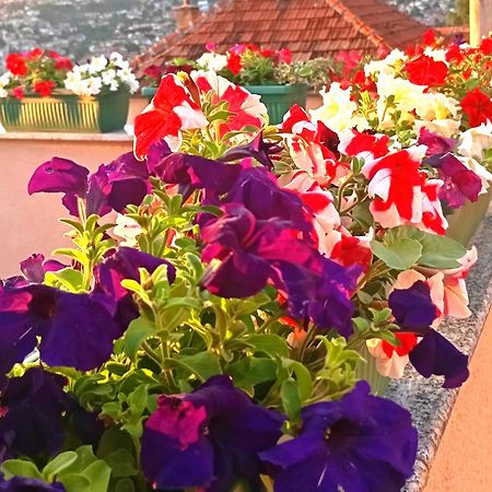 Апартаменты Garden Free Parking Сараево Экстерьер фото