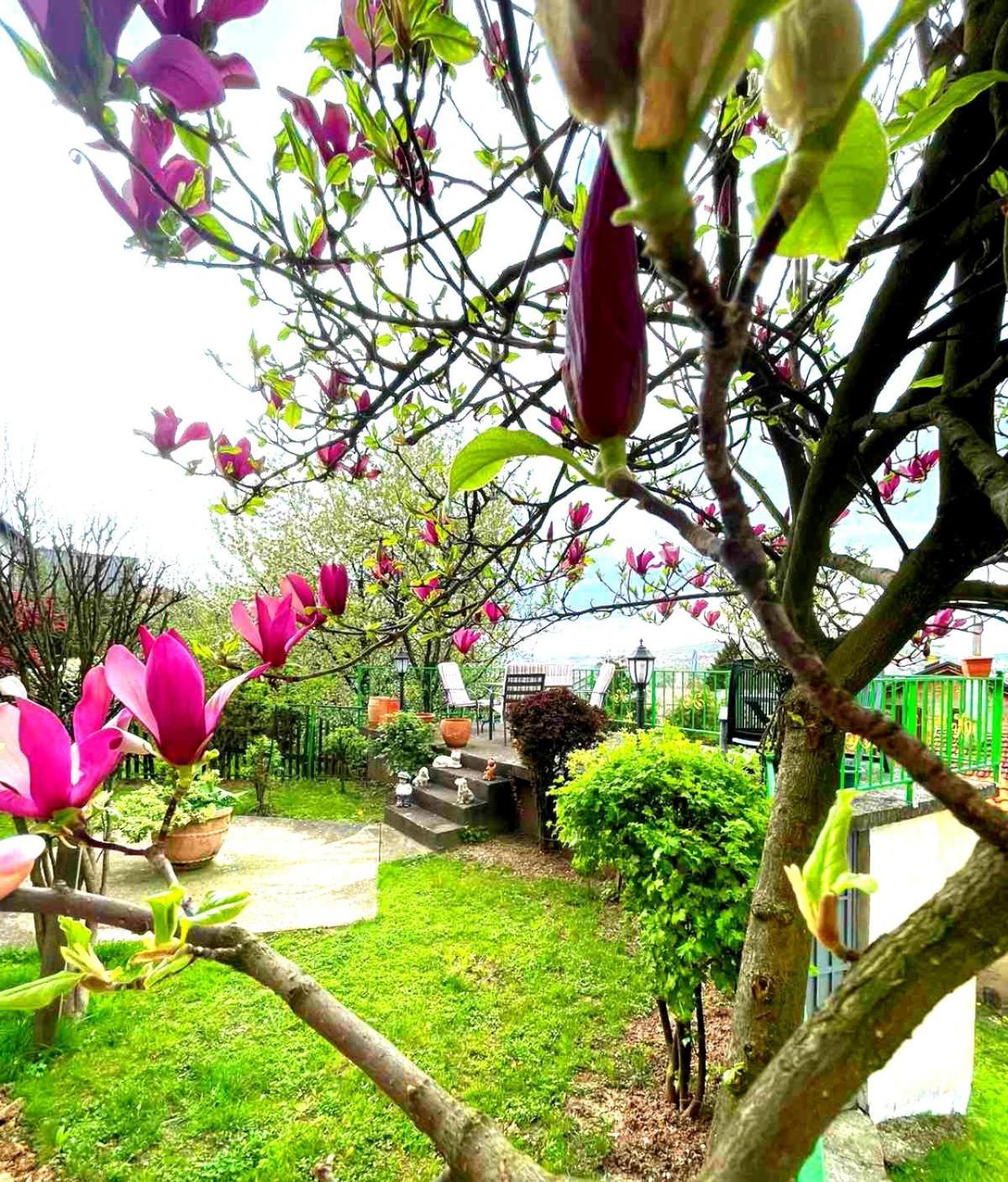Апартаменты Garden Free Parking Сараево Экстерьер фото